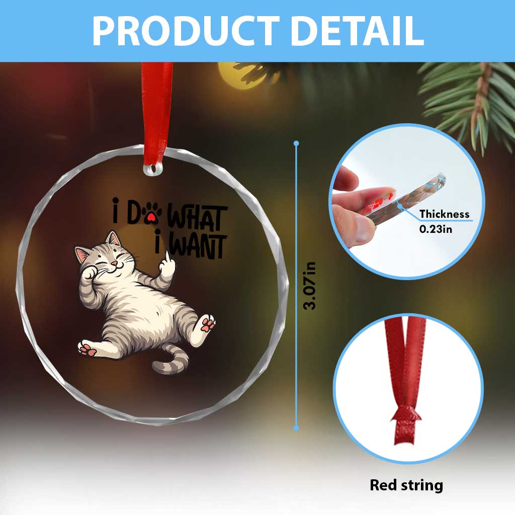 Cat Lover Crystal Glass Ornament Funny I Do What I Want TS12