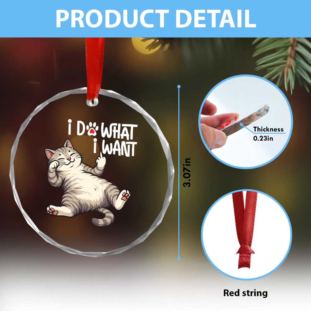 Funny Cat Crystal Glass Ornament I Do What I Want TS12