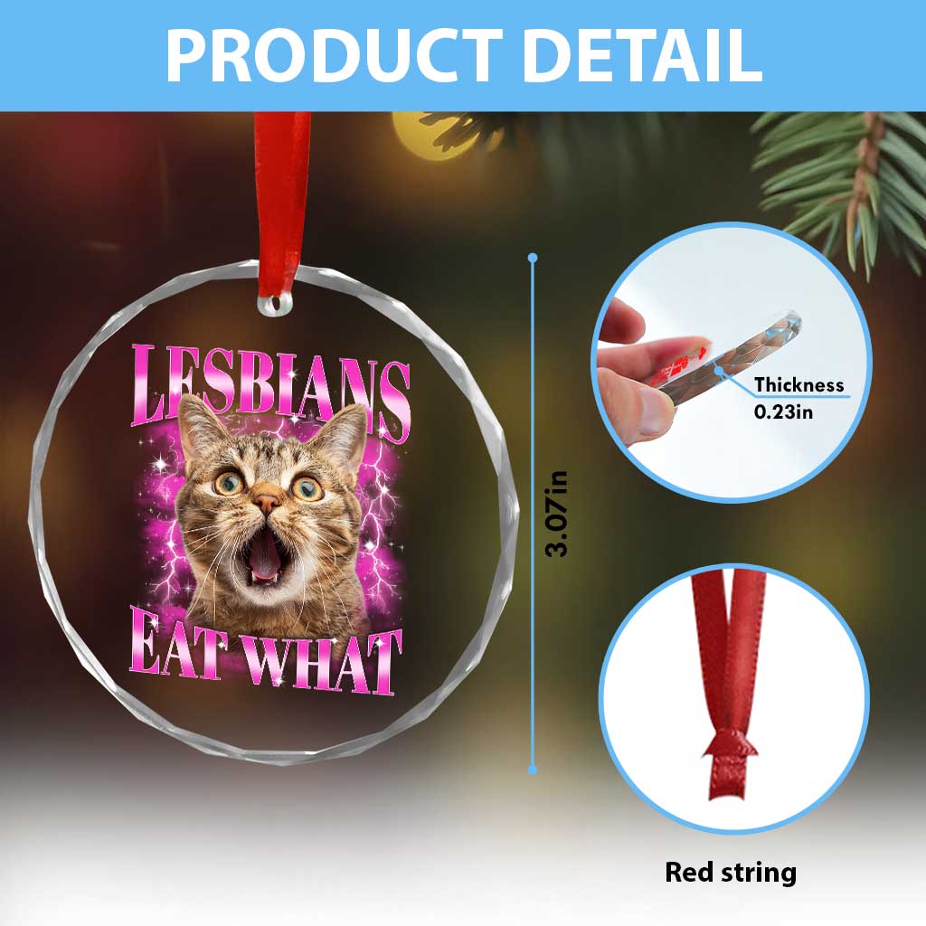 Lesbians Eat What Crystal Glass Ornament Funny Cat Gay Pride LGBTQ Pun TS10