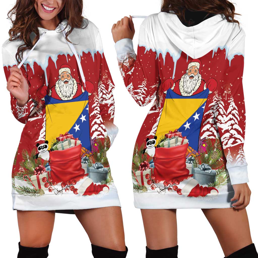 Bosnia and Herzegovina Christmas Hoodie Dress Santa With National Flag LT18