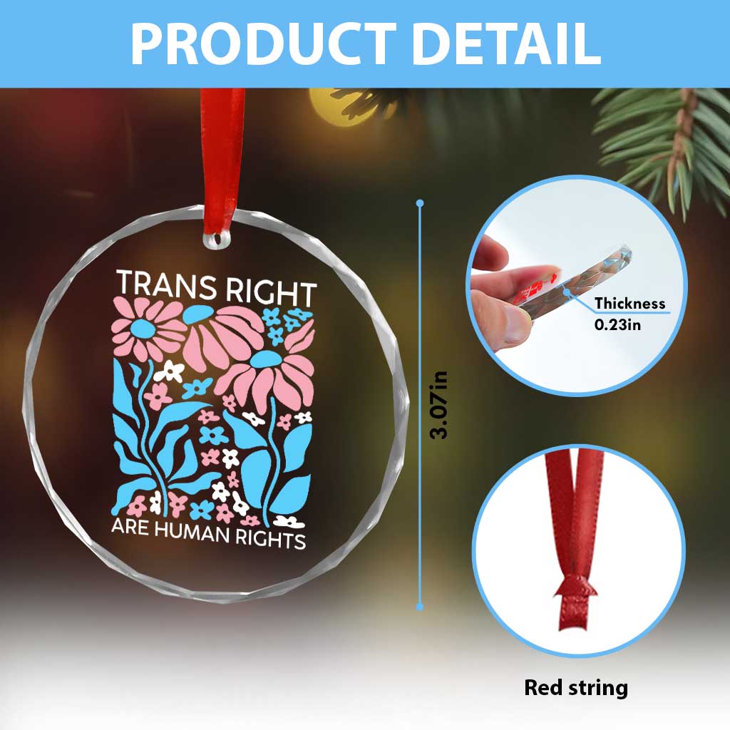 Trans Rights Crystal Glass Ornament Protect Trans Social Justice LGBT TS10