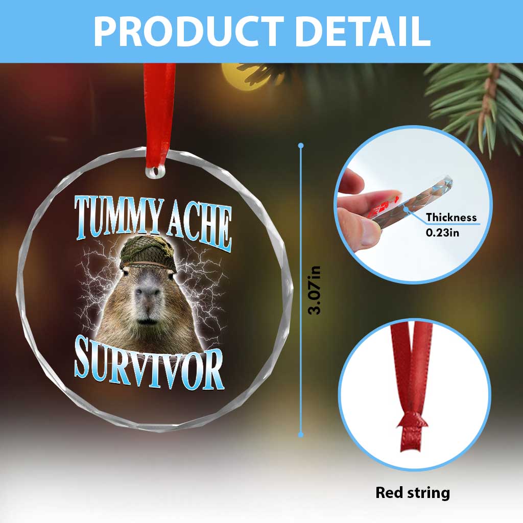 Tummy Ache Survivor Crystal Glass Ornament Funny Capybara Meme For Animal Lover TS12