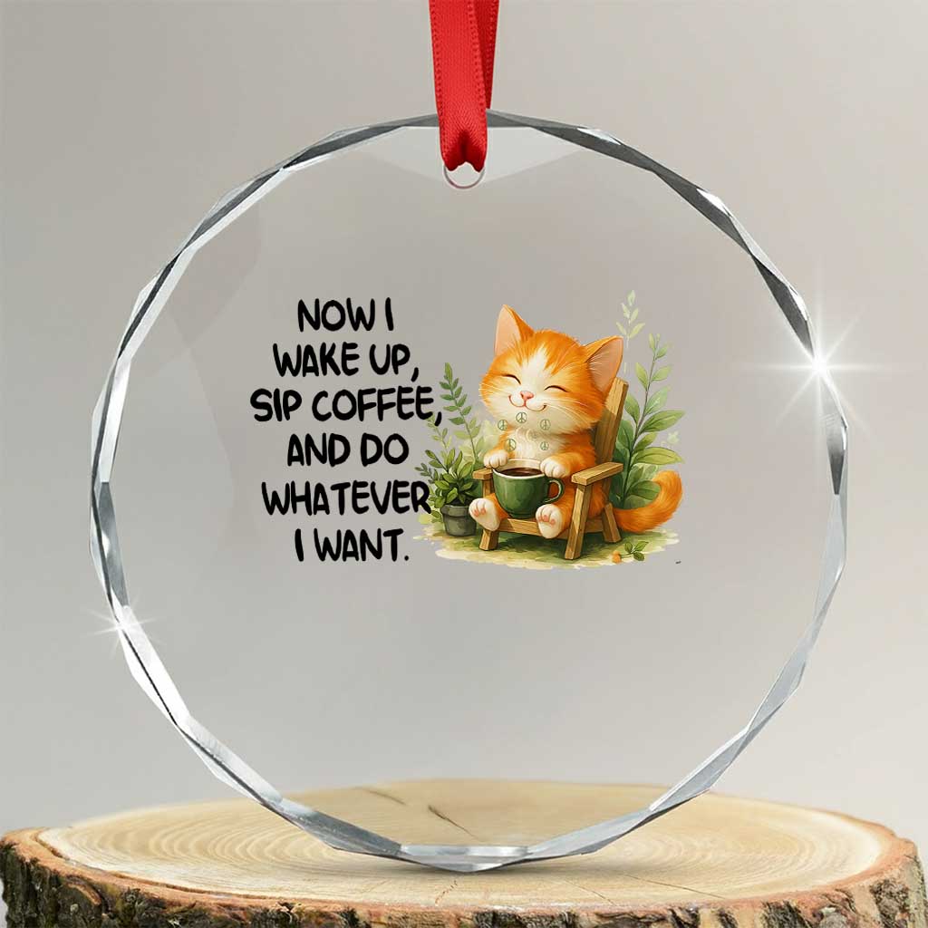 Cat Coffee Lover Crystal Glass Ornament Now I Wake Up Sip Coffee And Do Whatever I Want TS12