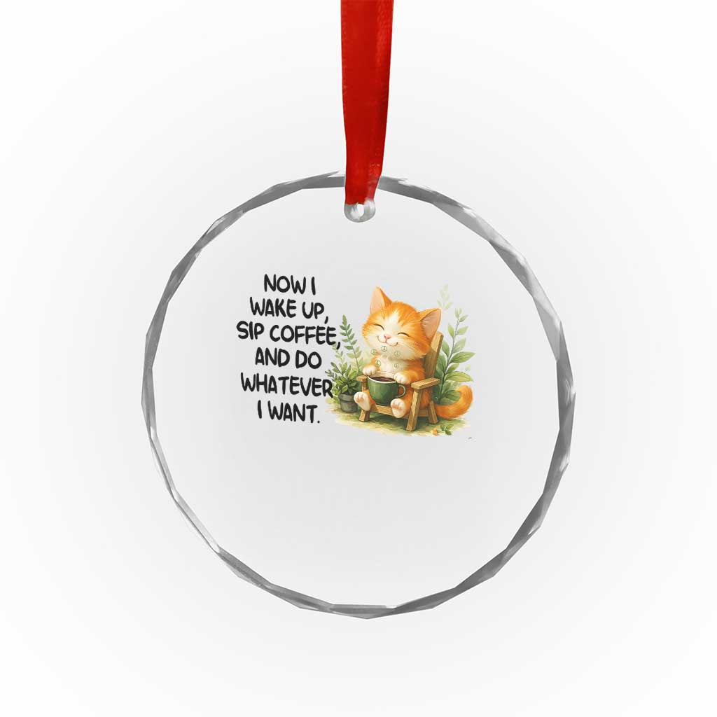Cat Coffee Lover Crystal Glass Ornament Now I Wake Up Sip Coffee And Do Whatever I Want TS12