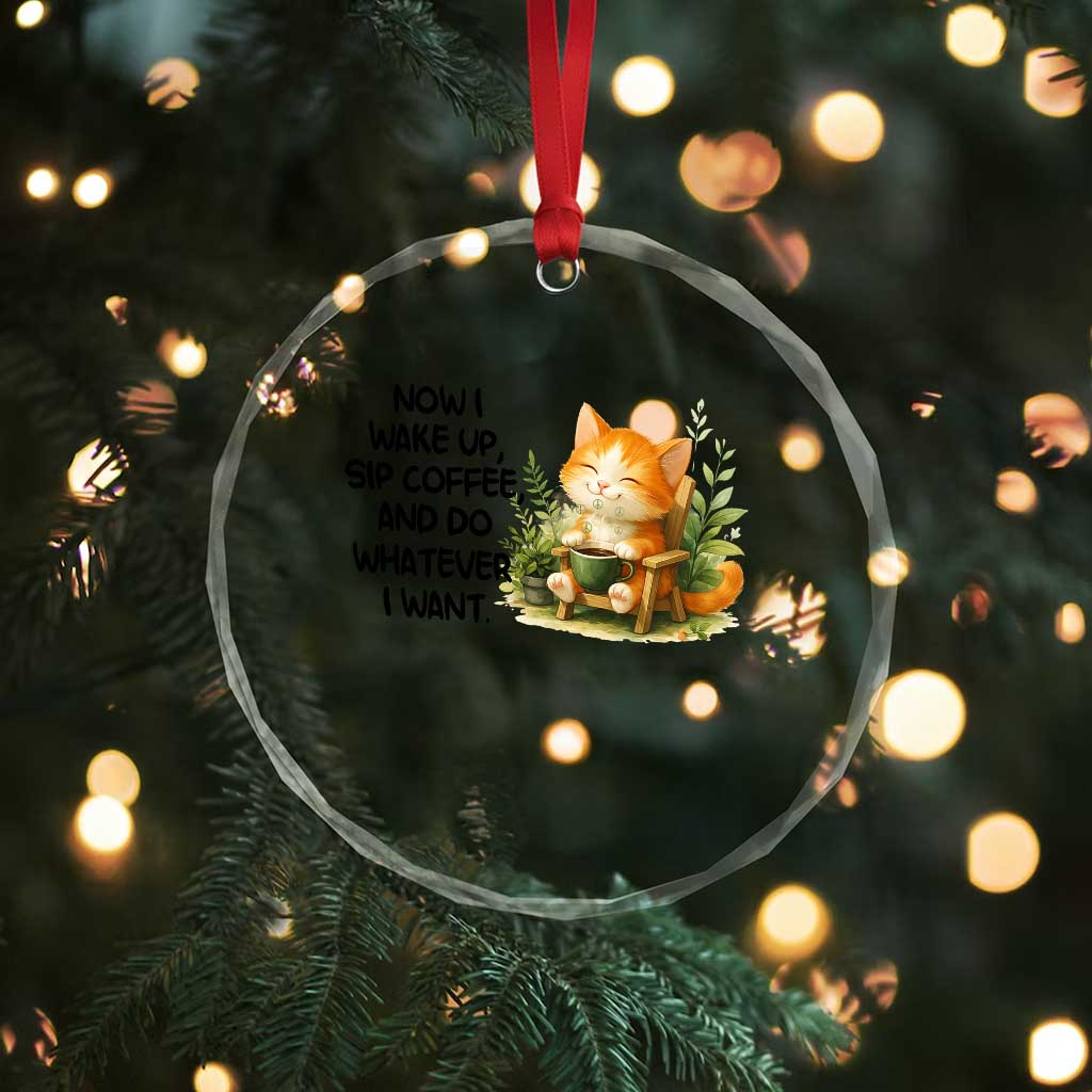 Cat Coffee Lover Crystal Glass Ornament Now I Wake Up Sip Coffee And Do Whatever I Want TS12