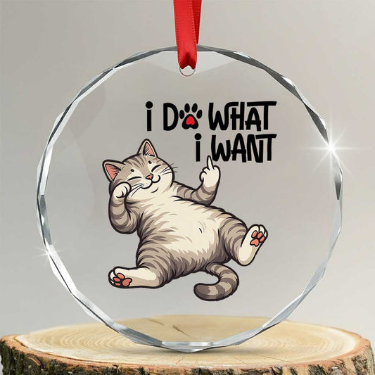 Cat Lover Crystal Glass Ornament Funny I Do What I Want TS12