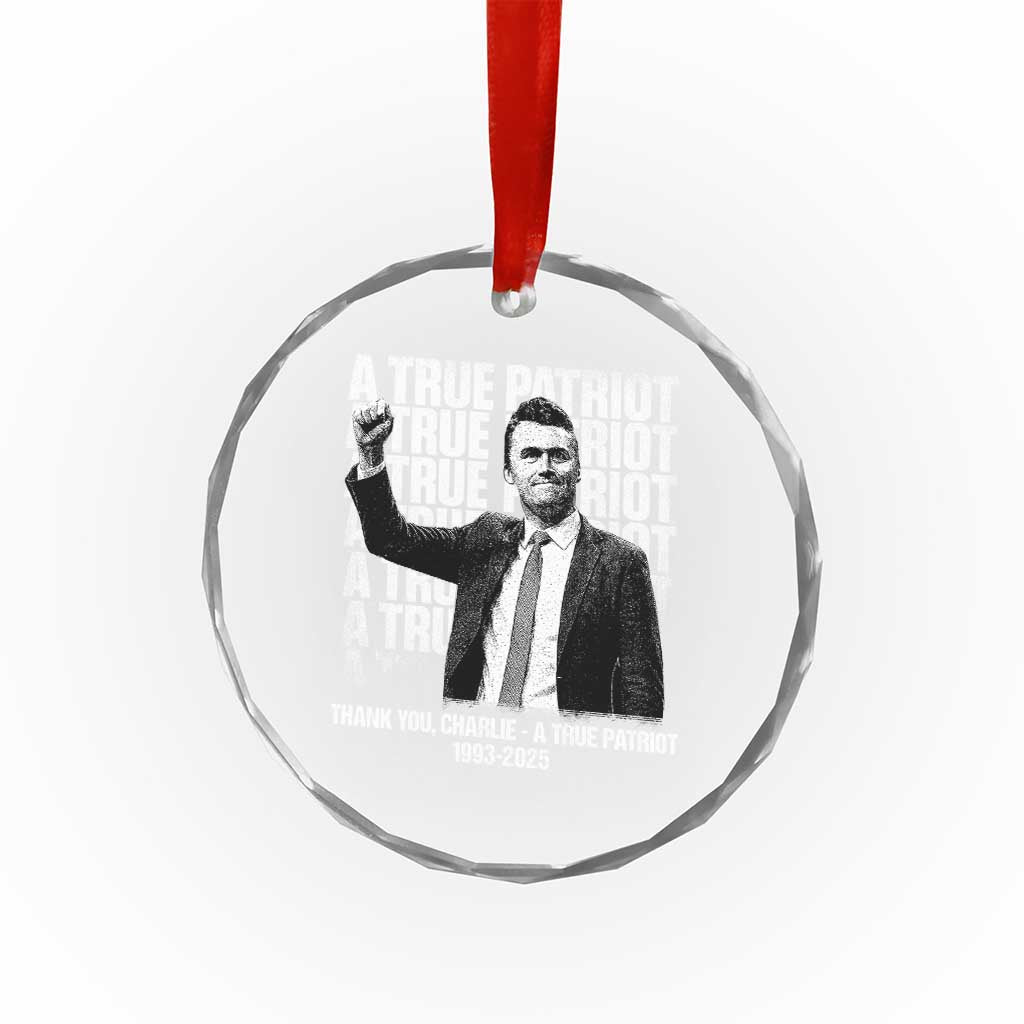 Charlie Kirk Freedom Crystal Glass Ornament Vintage A True Patriot Patriotic American TS10