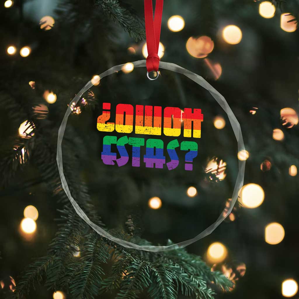 Como Estas Crystal Glass Ornament Funny Spanish LGBT Pride Latinx Retro Queer Inclusive Gift TS10