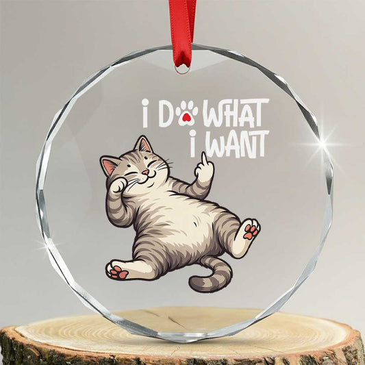 Funny Cat Crystal Glass Ornament I Do What I Want TS12