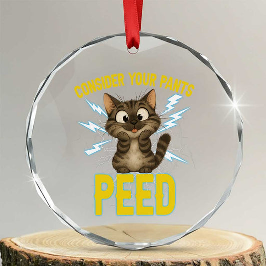 Funny Cat Lover Crystal Glass Ornament Consider Your Pants Peed Quote TS12