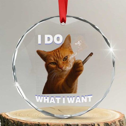 Funny Smoking Cat Crystal Glass Ornament I Do What I Want Sarcastic Cats Meme TS12
