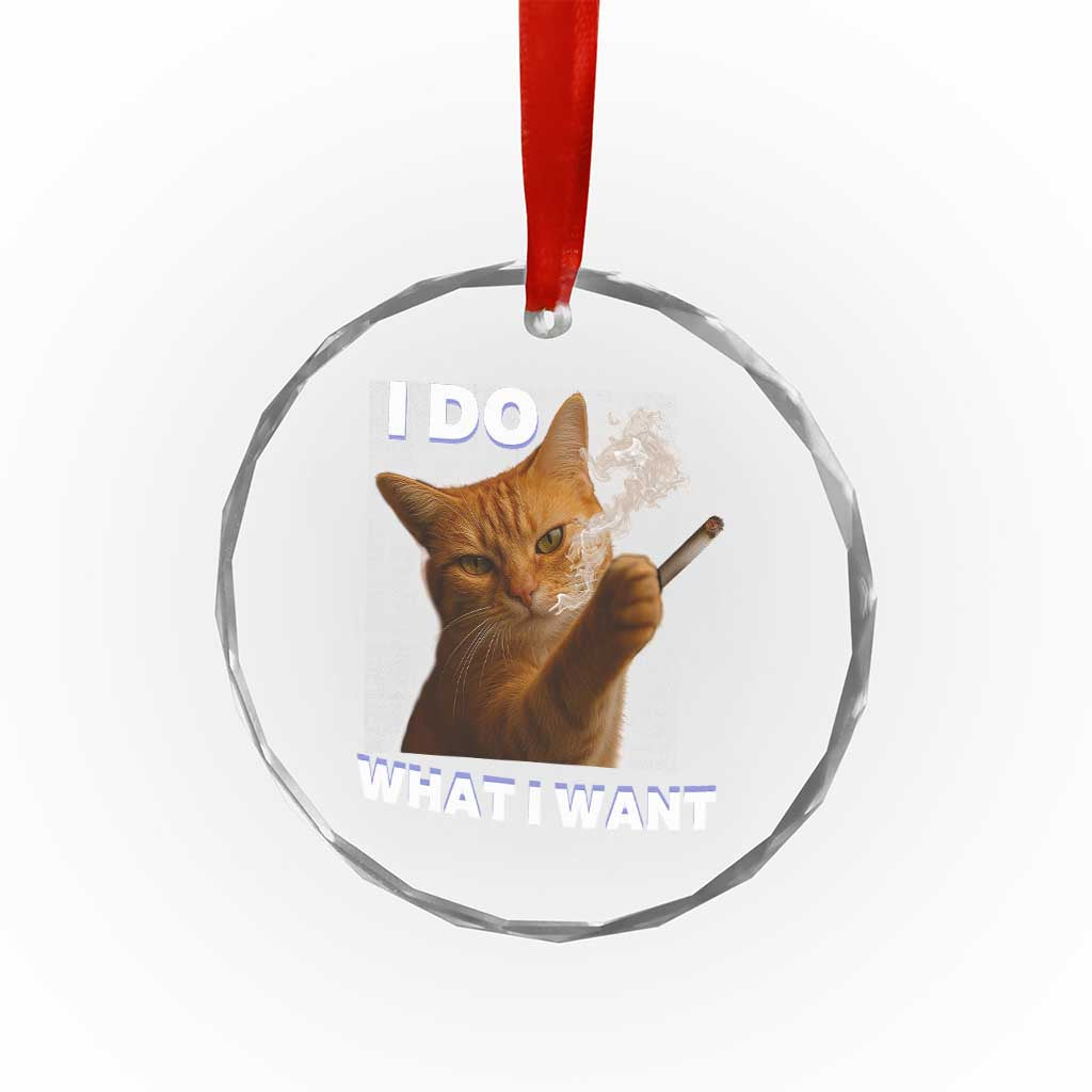 Funny Smoking Cat Crystal Glass Ornament I Do What I Want Sarcastic Cats Meme TS12