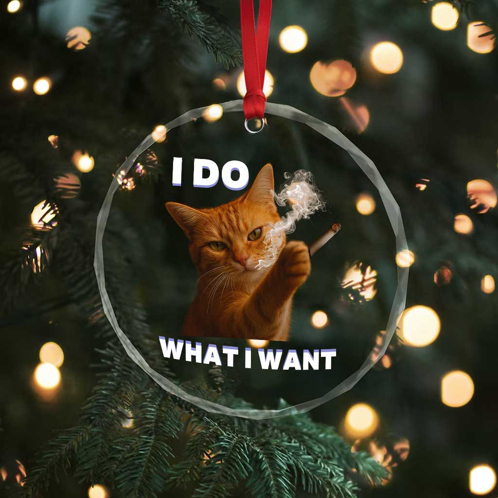 Funny Smoking Cat Crystal Glass Ornament I Do What I Want Sarcastic Cats Meme TS12