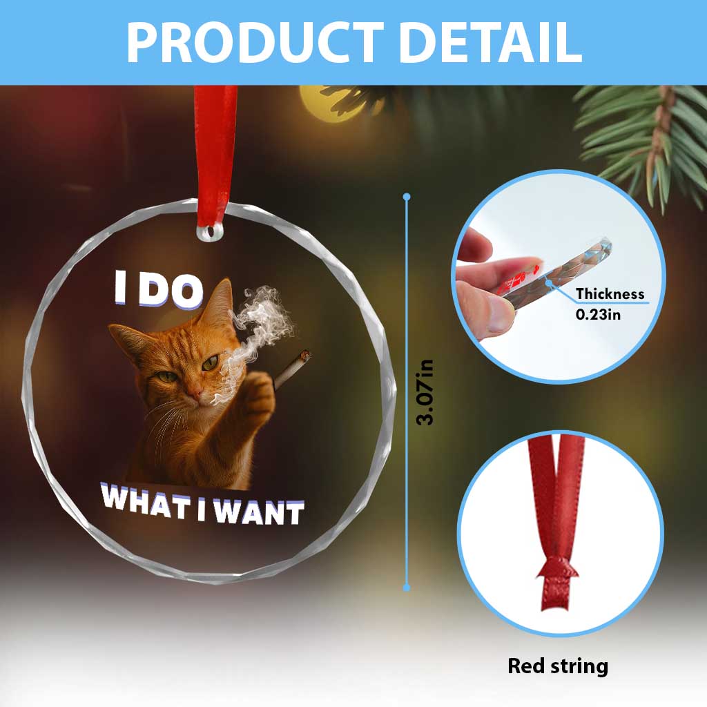 Funny Smoking Cat Crystal Glass Ornament I Do What I Want Sarcastic Cats Meme TS12