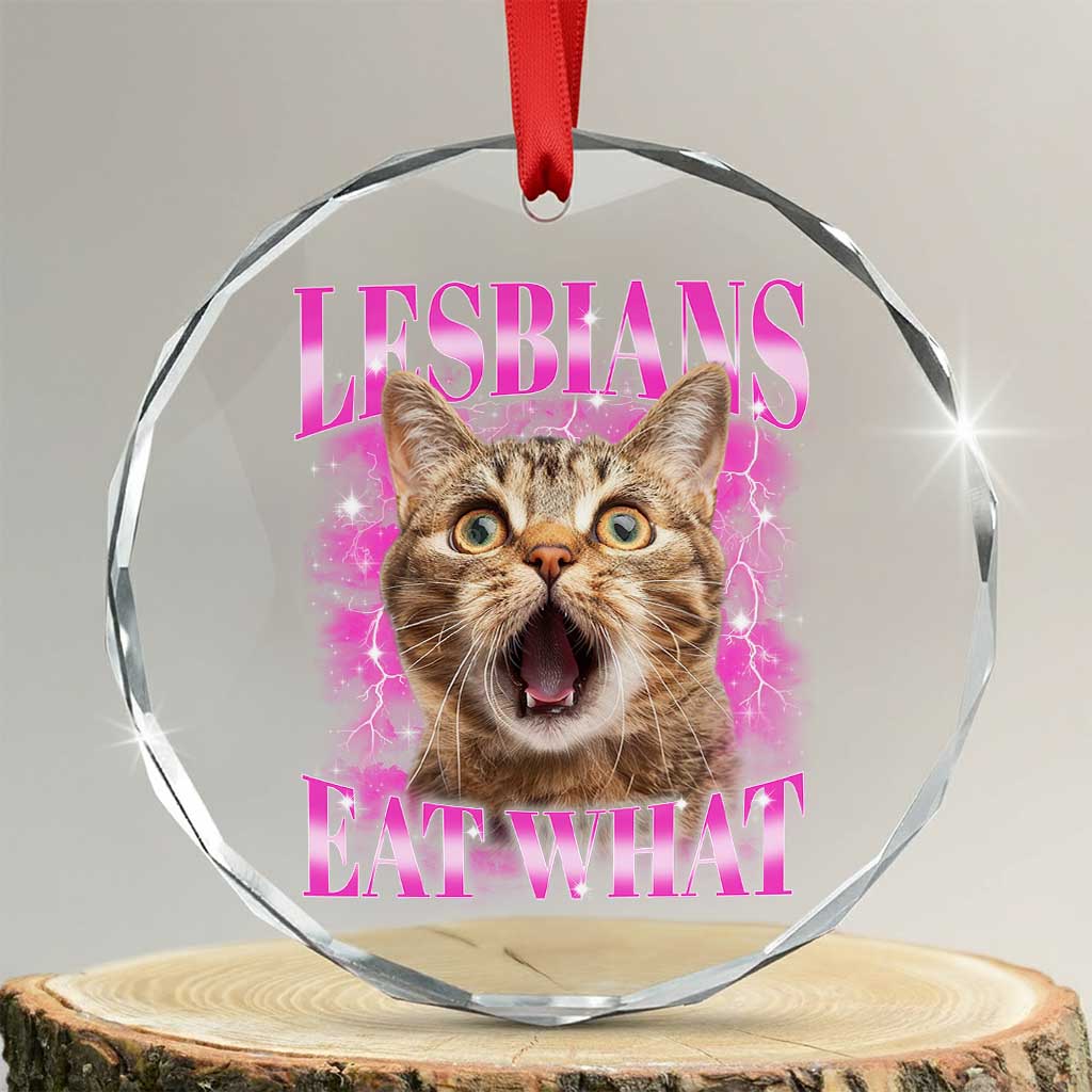 Lesbians Eat What Crystal Glass Ornament Funny Cat Gay Pride LGBTQ Pun TS10