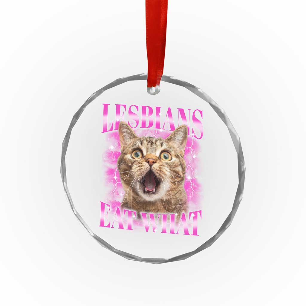 Lesbians Eat What Crystal Glass Ornament Funny Cat Gay Pride LGBTQ Pun TS10