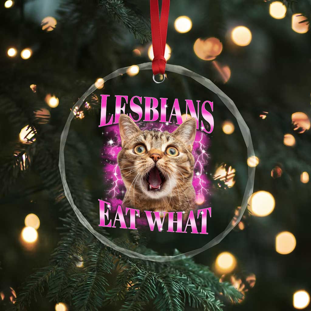 Lesbians Eat What Crystal Glass Ornament Funny Cat Gay Pride LGBTQ Pun TS10