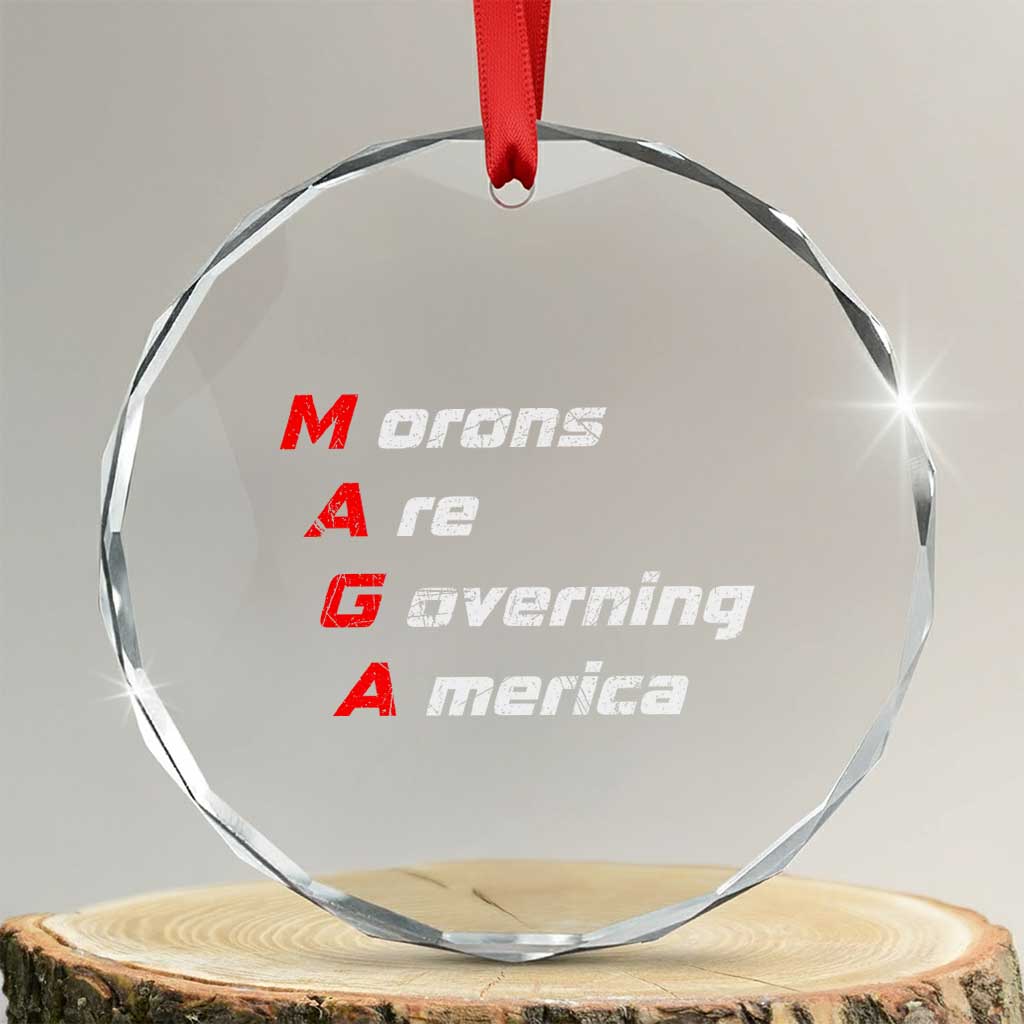 Morons Are Governing America Crystal Glass Ornament TS10