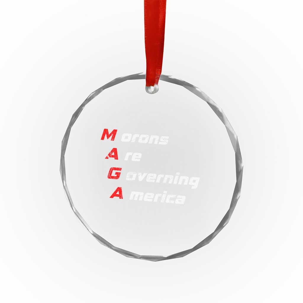 Morons Are Governing America Crystal Glass Ornament TS10