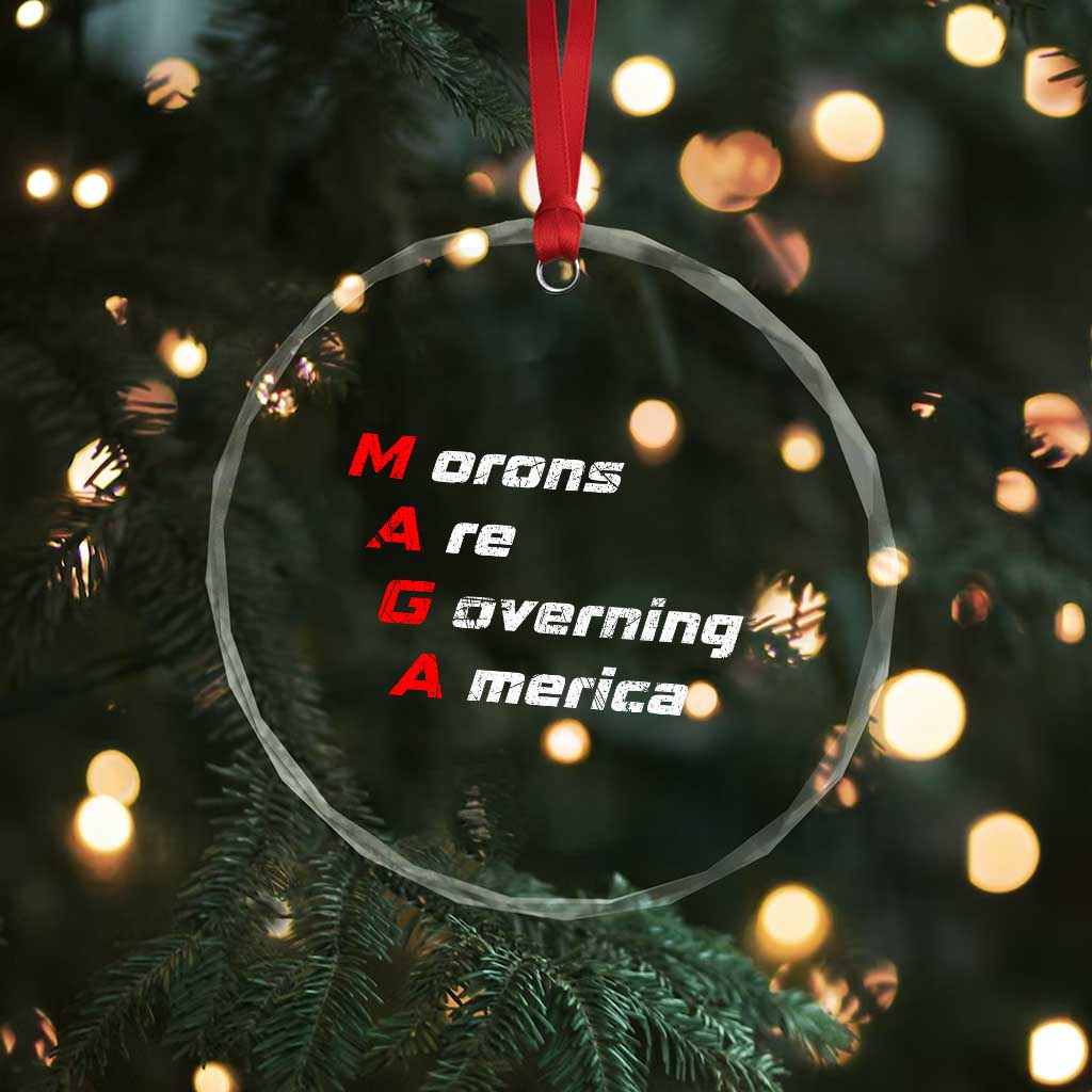 Morons Are Governing America Crystal Glass Ornament TS10
