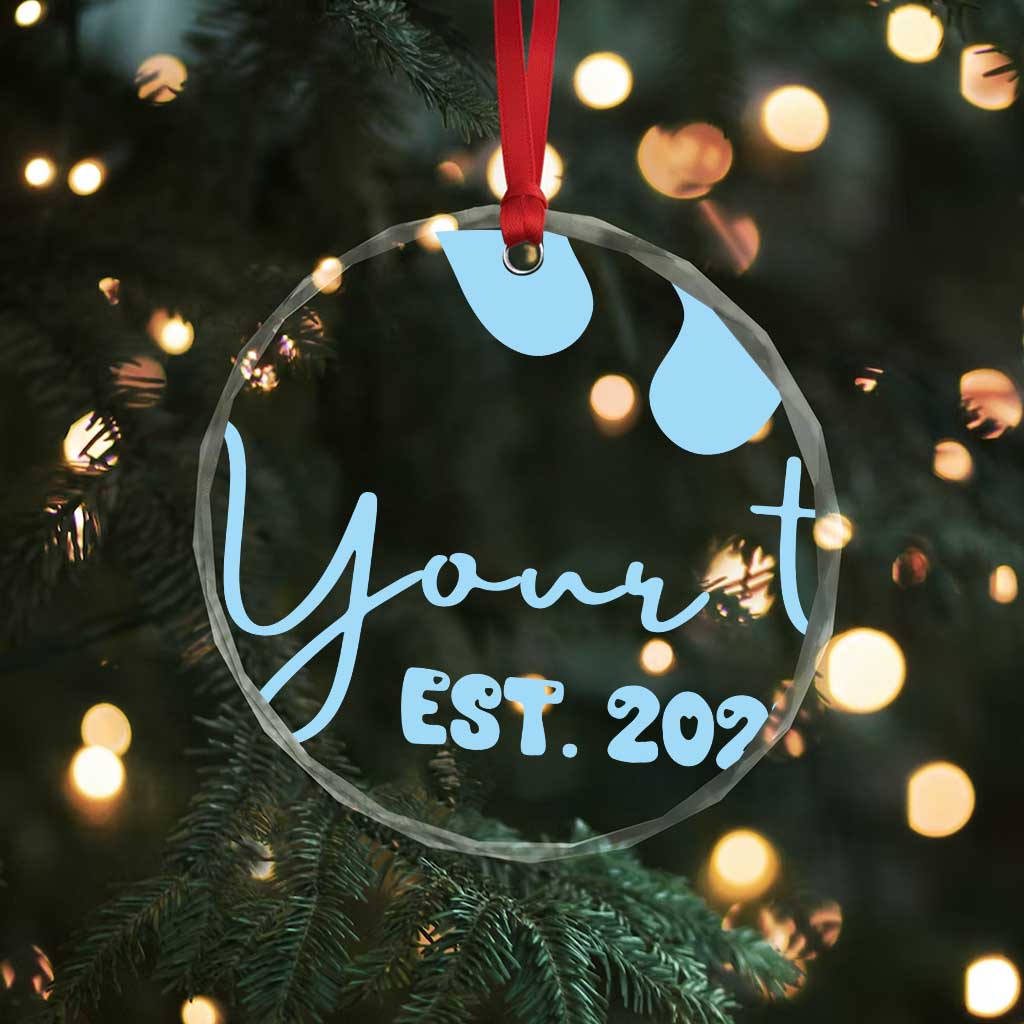 Personalized Gender Reveal Crystal Glass Ornament Custom Text Baby Boy Reveal Blue Family Matching TS10