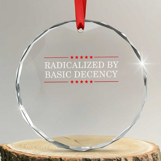 Radicalized By Basic Decency Crystal Glass Ornament Feminist Activist Protest TS10