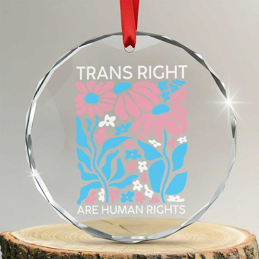 Trans Rights Crystal Glass Ornament Protect Trans Social Justice LGBT TS10