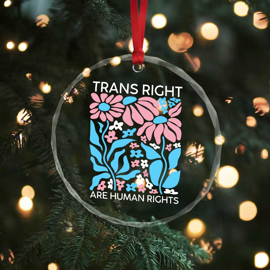 Trans Rights Crystal Glass Ornament Protect Trans Social Justice LGBT TS10