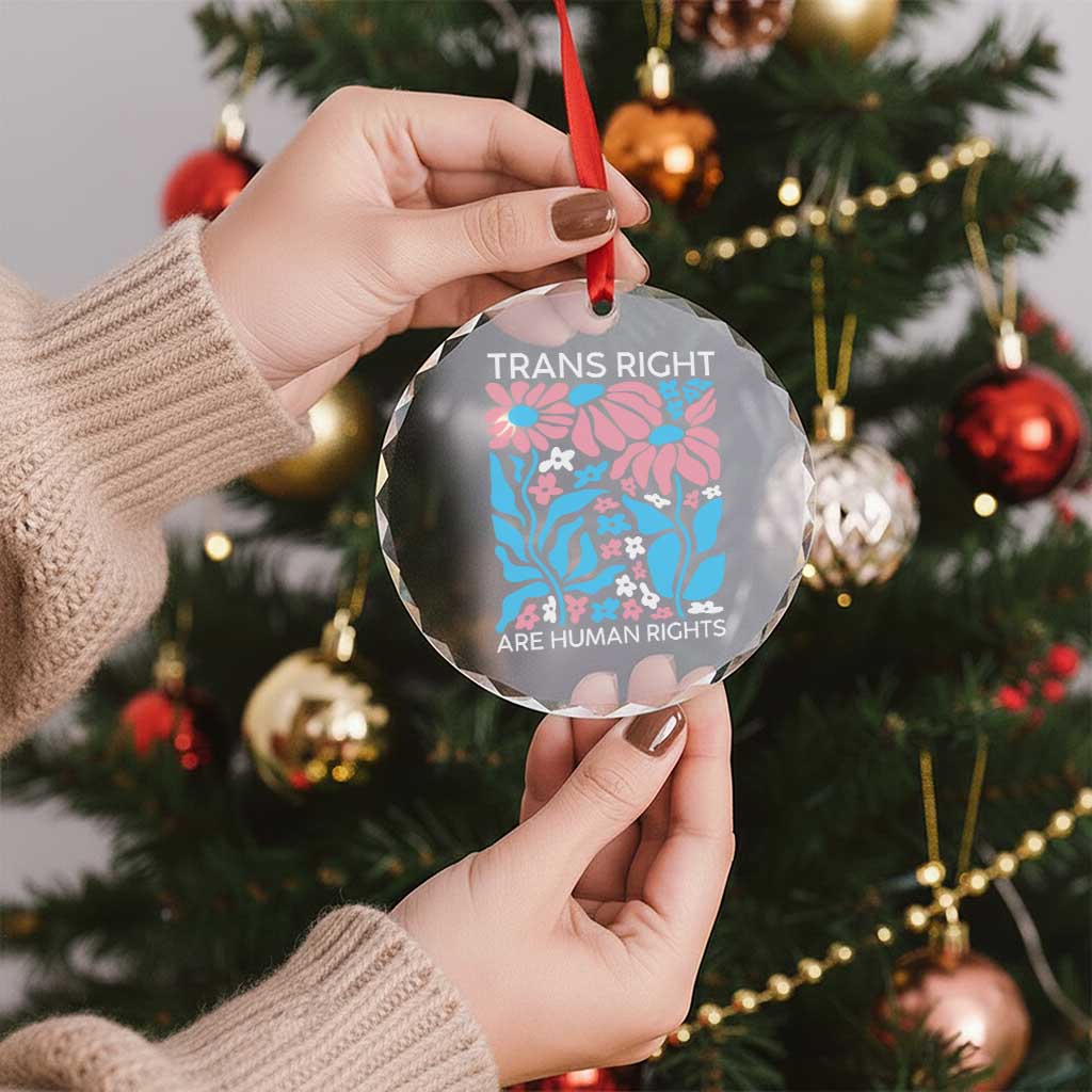 Trans Rights Crystal Glass Ornament Protect Trans Social Justice LGBT TS10