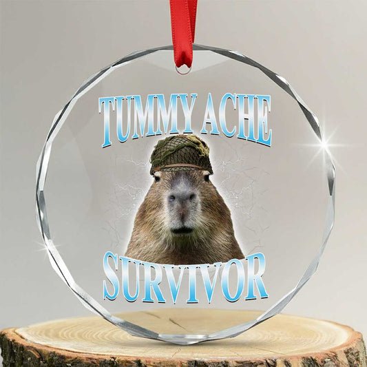 Tummy Ache Survivor Crystal Glass Ornament Funny Capybara Meme For Animal Lover TS12